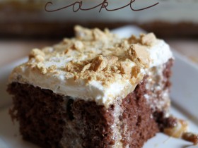 Better than Anything S'more Cake!... This cake is super easy and is the perfect way to enjoy a hint of summer year round!