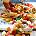 Bear Lake Trail Mix from chef-in-training.com... The perfect snack for any road trip, vacation or snack food craving! The perfect mix of everything delicious!