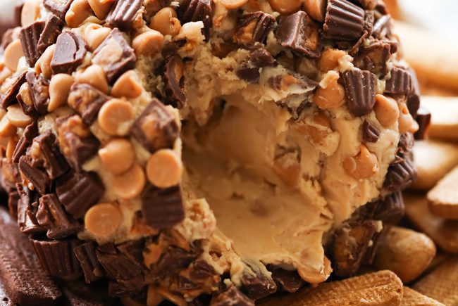 Chocolate Peanut Butter Cheese Ball