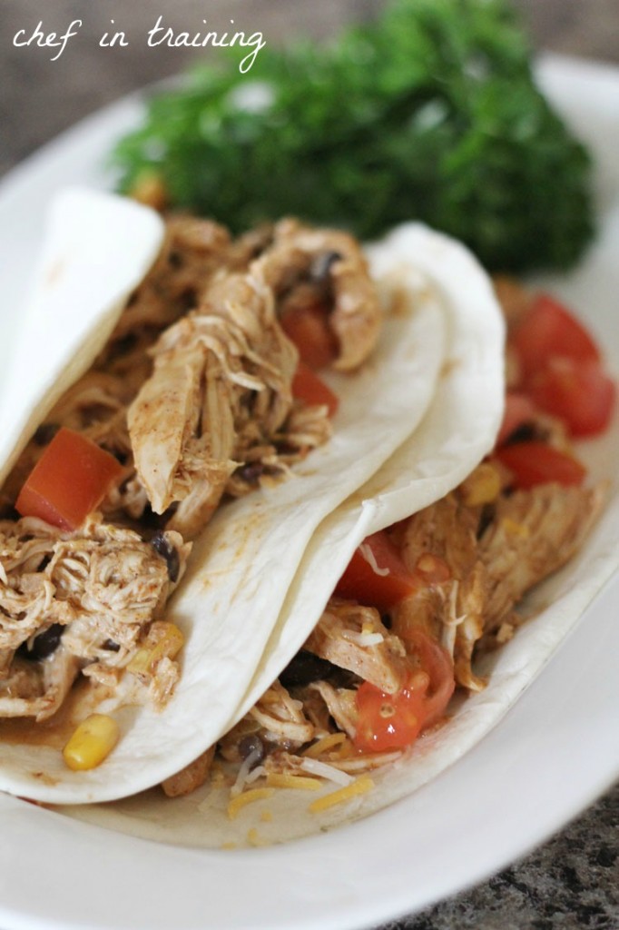 Crock Pot Creamy Black Bean Salsa Chicken Chef in Training