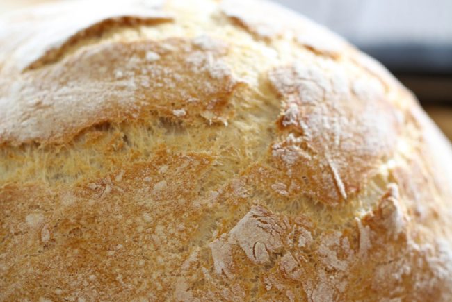 No-Knead Crusty Artisan Bread