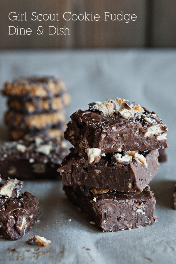 More Than 50 Girl Scout Cookie Inspired Recipes | www.chef-in-training.com