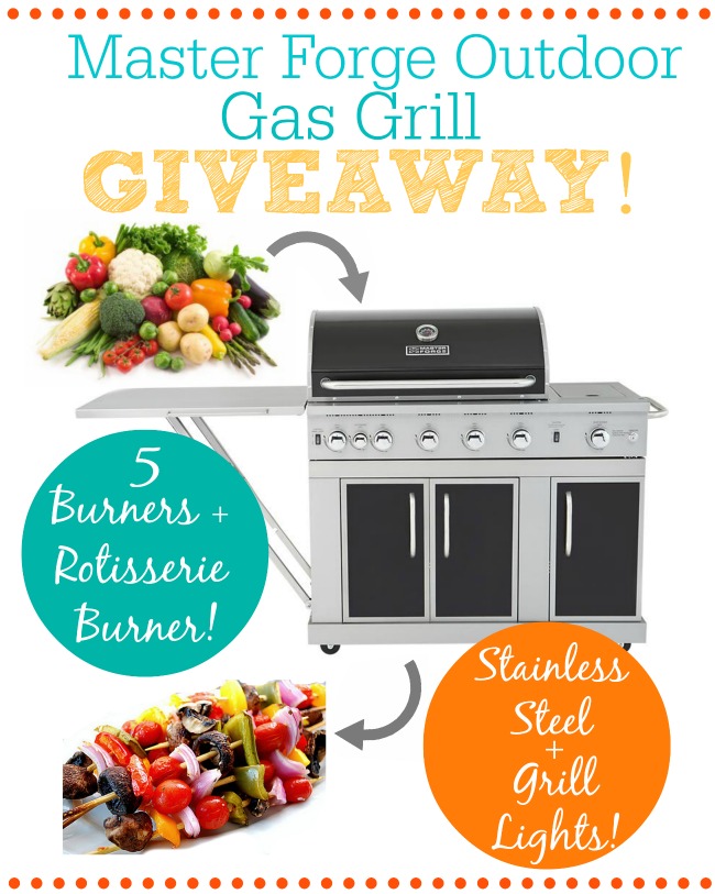 Grill Giveaway on chef-in-training.com