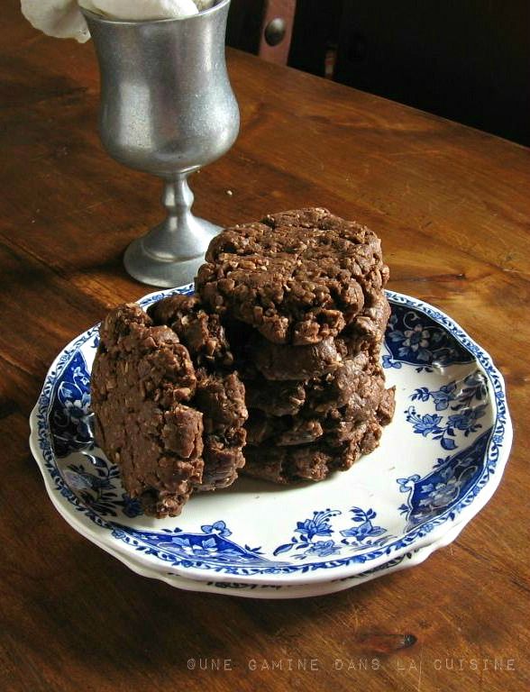 double chocolate coconut cookies