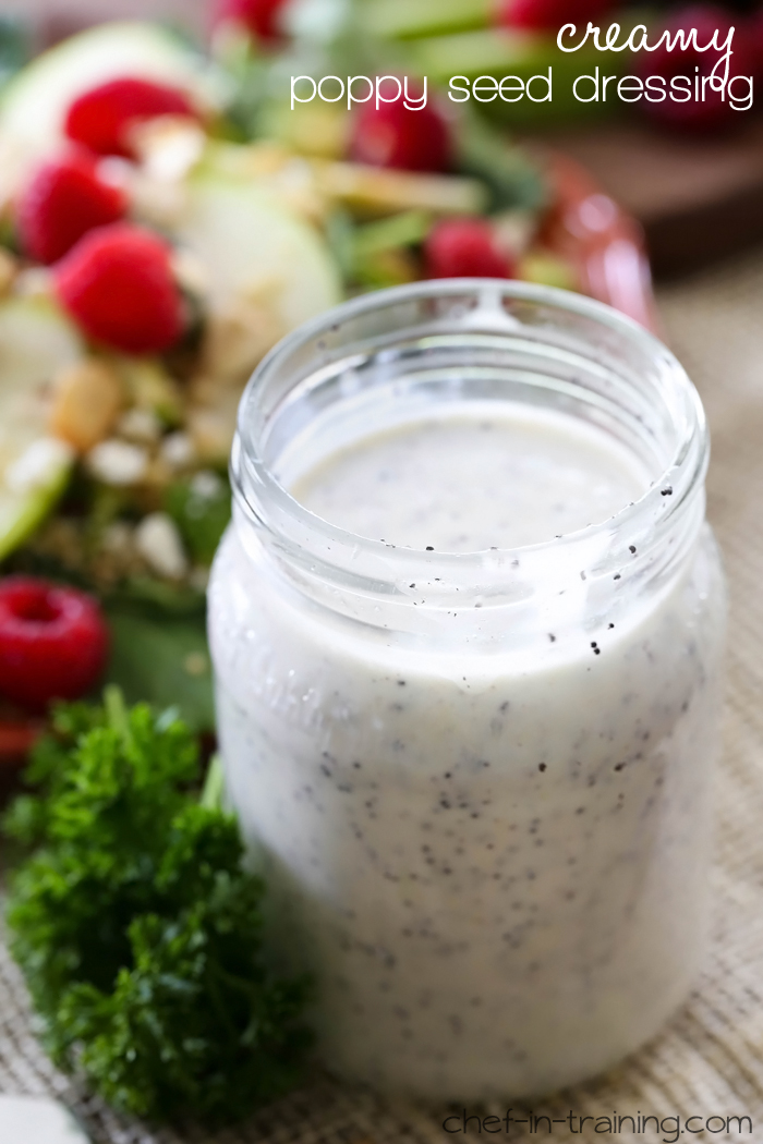 Creamy Poppy Seed Dressing from chef-in-training.com …This dressing is AMAZING and so simple to make!