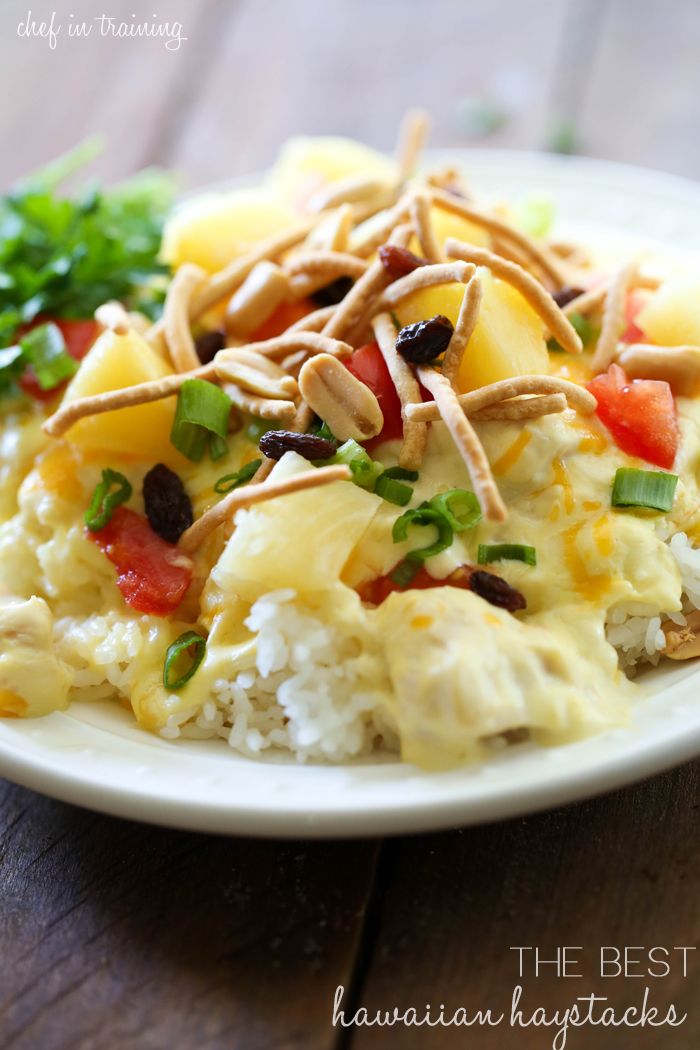 The Best Hawaiian Haystacks from chef-in-training.com …Of all the recipes I have tried, none come close to this amazing creamy chicken topping!
