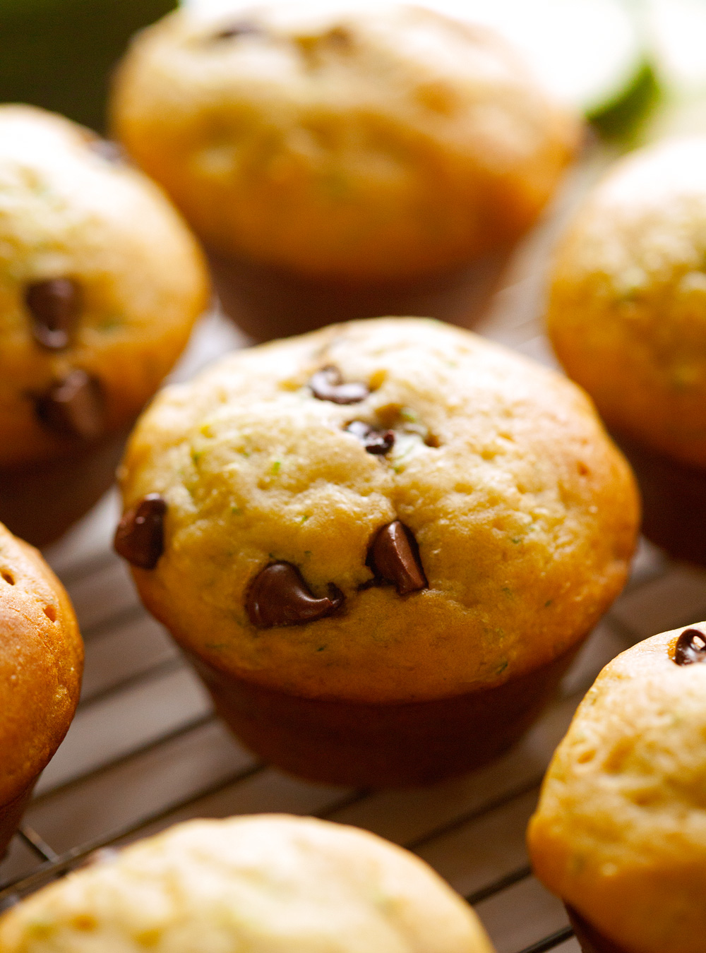 Zucchini Chocolate Chip Muffins… these are simple to make, taste delicious and a great way to use up some zucchini!