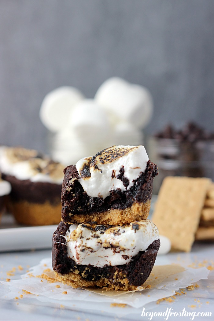 S'mores Cookie Cups.. a graham cracker crust with a chocolate pudding cookie and a toasted marshmallow on top! They are DELICIOUS!