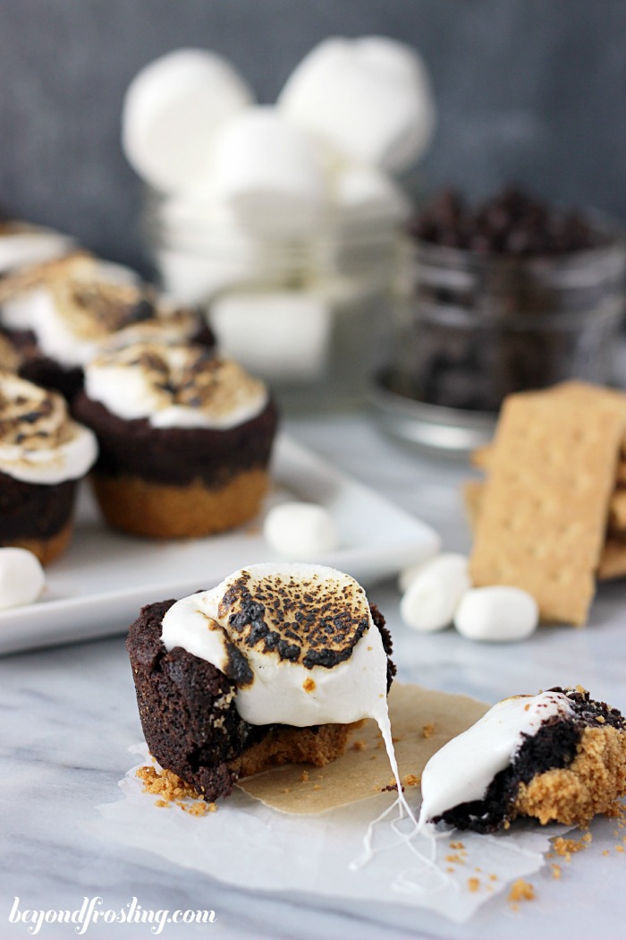 S'mores Cookie Cups.. a graham cracker crust with a chocolate pudding cookie and a toasted marshmallow on top! They are DELICIOUS!