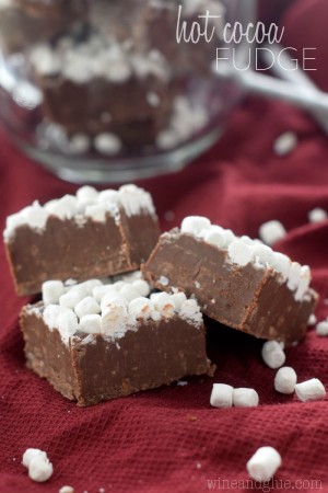 Hot Cocoa Fudge