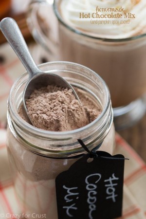 Homemade Hot Chocolate Mix