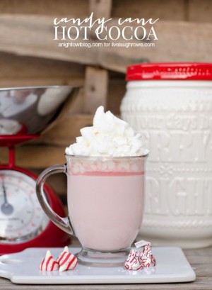 Candy Cane Hot Cocoa