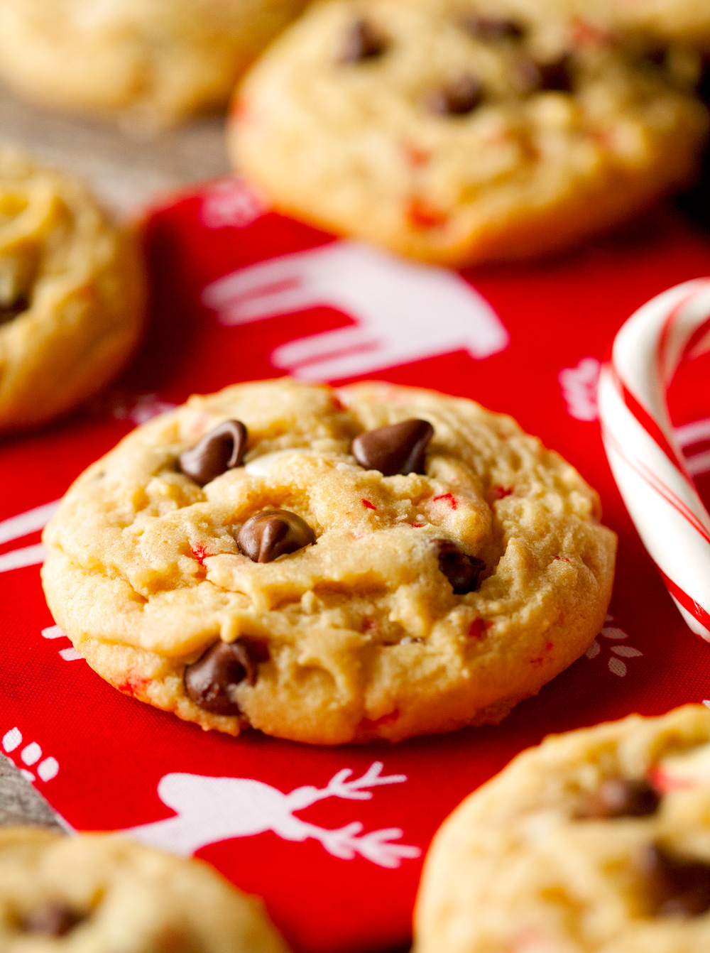 Chocolaty Candy Cane Cookies... a fun, delicious cookie that is perfect for the holidays!