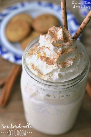  Snickerdoodle Hot Cocoa