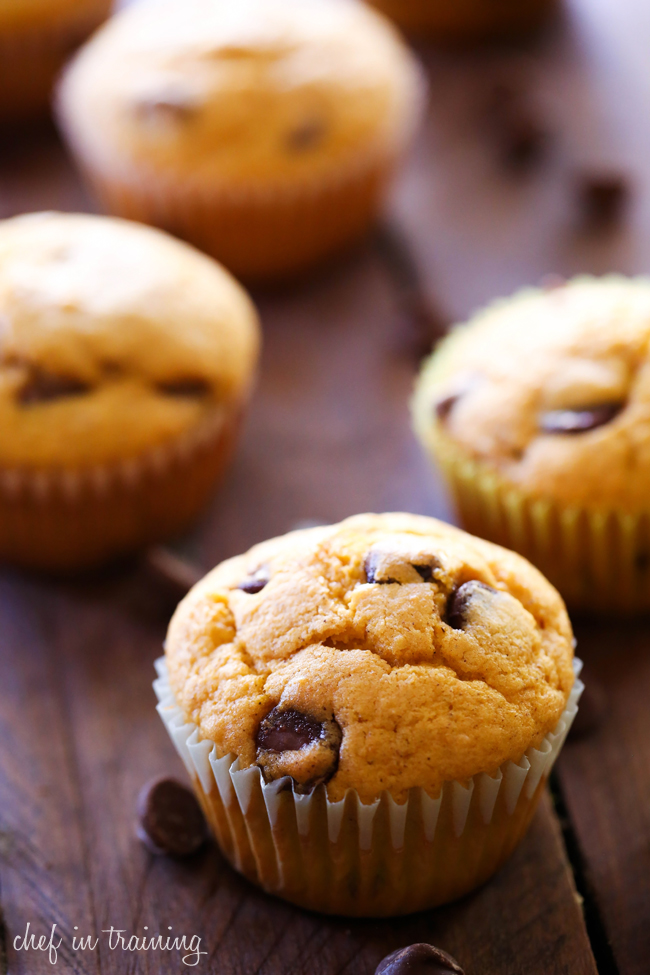 Buttermilk Pumpkin Chocolate Chip Muffins... This is such a delicious fall recipe! Perfectly moist and absolutely tasty!