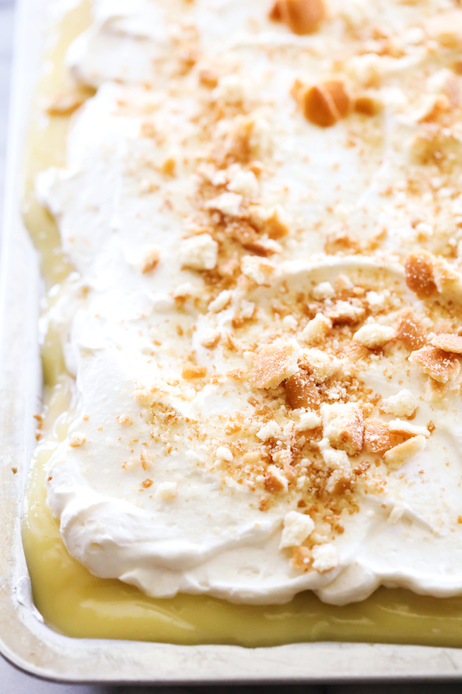 Banana Cream Pie Sheet Cake... Delicious and simple cake topped with the most incredible banana pudding and homemade whipped cream. This is a MUST MAKE!