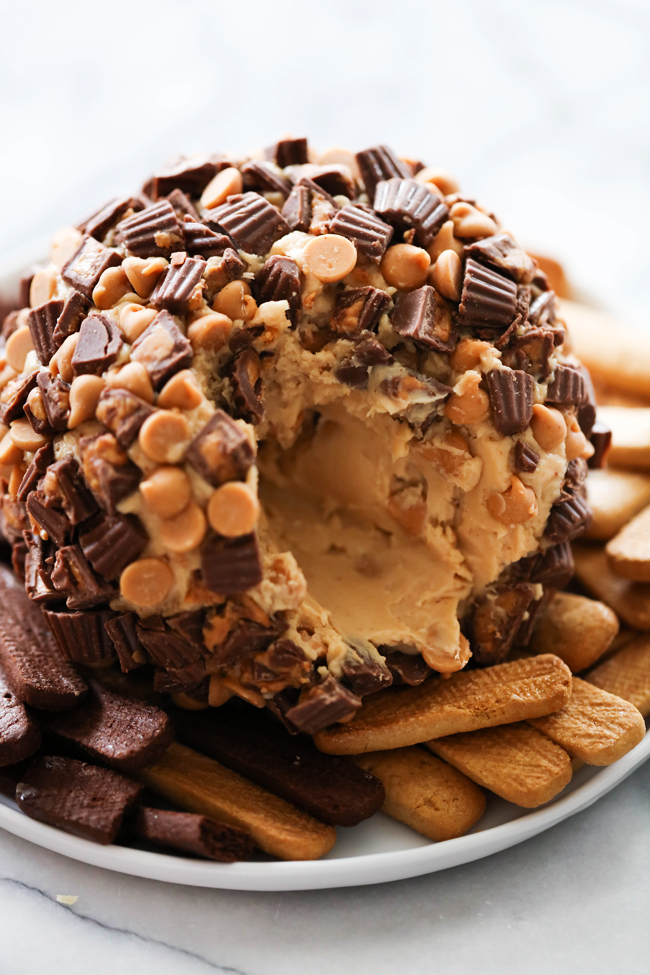 This Chocolate Peanut Butter Cheese Ball is such a delicious dessert appetizer. It will be the hit of the party! It tastes like a Reese's in the form of one tasty and unforgettable appetizer.