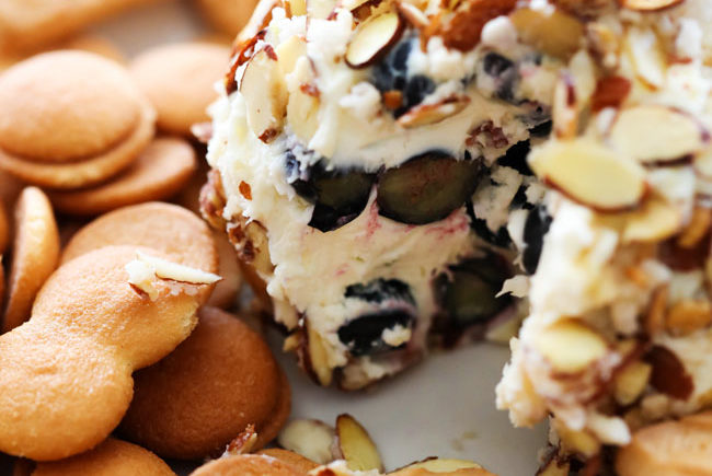 Lemon Blueberry Cheese Ball